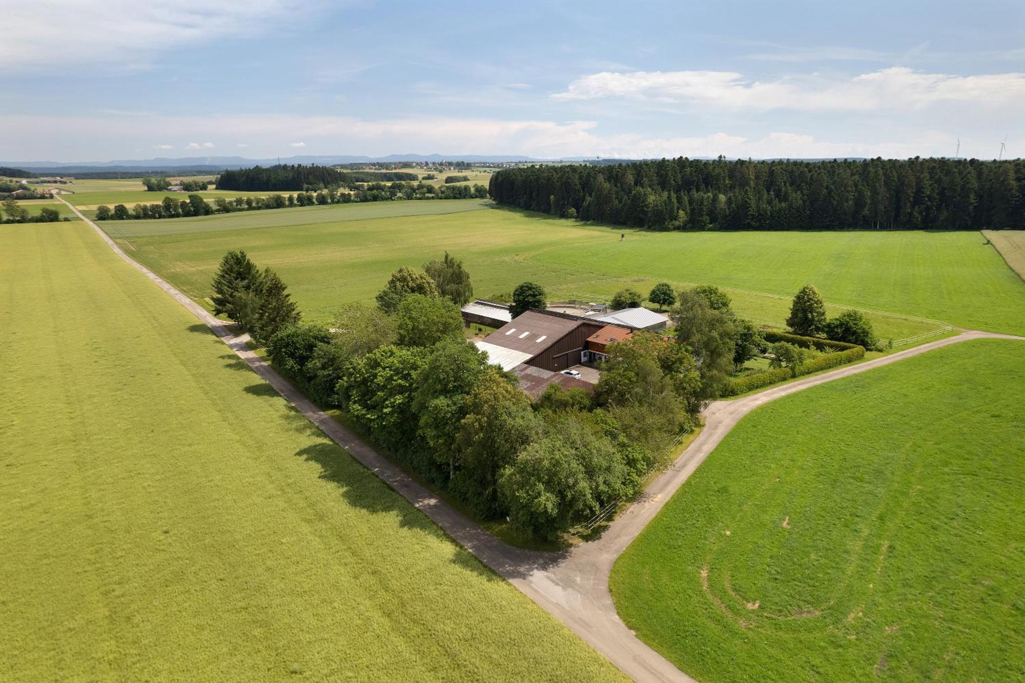 Fewo Naturliebe - Keine Monteure Dornhan エクステリア 写真